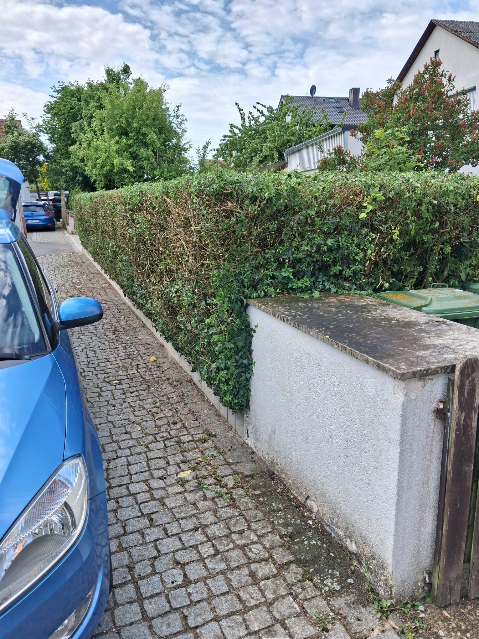 Gartenpflege Ergebnis – Kormanns Gartenpflege